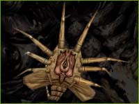 FaceHugger